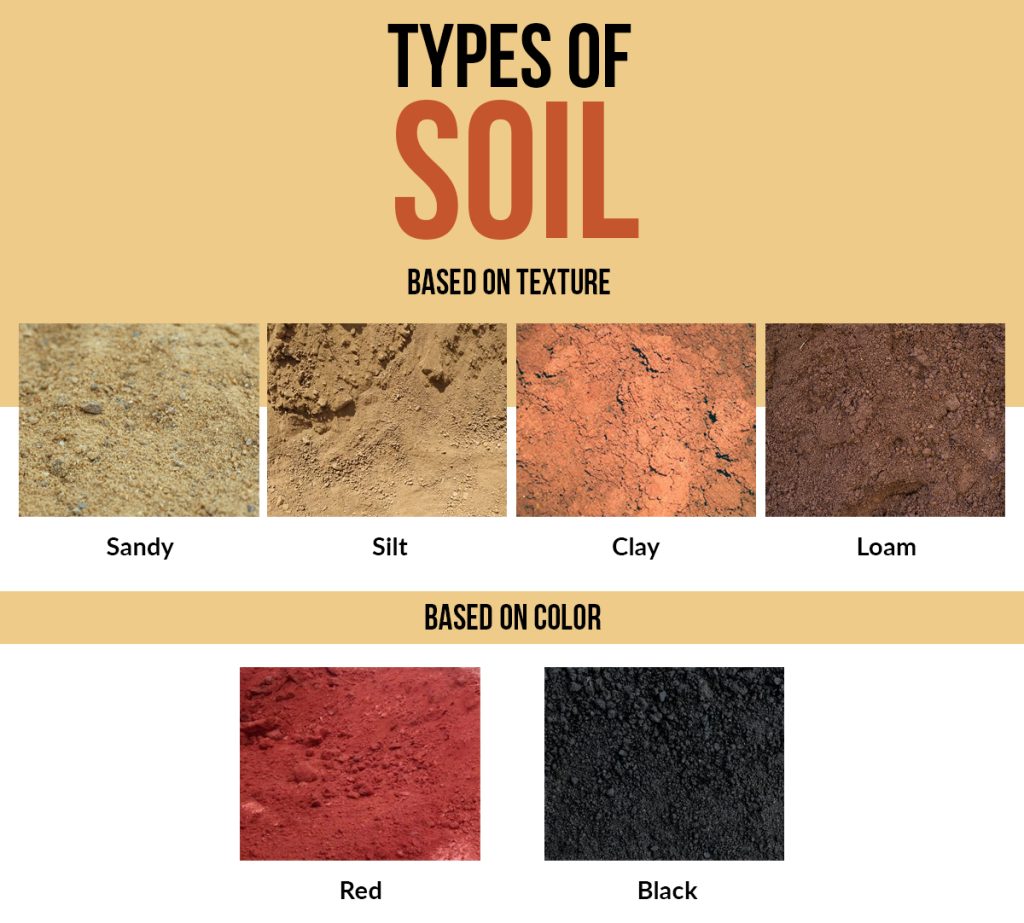 Soil Types & Appropriate Cultivation Techniques – Our Marketplace